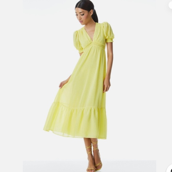 Alice + Olivia Angela Tirred Deep V-Neck Midi Dress Size 10 - Picture 9 of 9